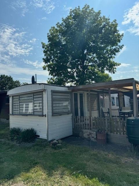 Anloo Chalet Quattro In Bosrijke Omgeving מראה חיצוני תמונה